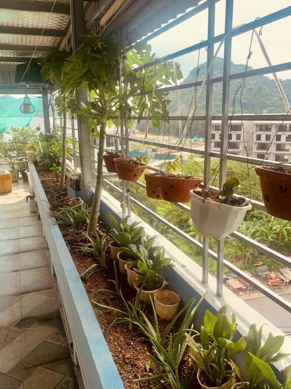 Thu Thuy Hotel Chan Chau Luaran gambar
